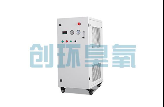 铁门关工厂化养鲈必看:2026年臭氧发生器替代传统消毒的最新方案