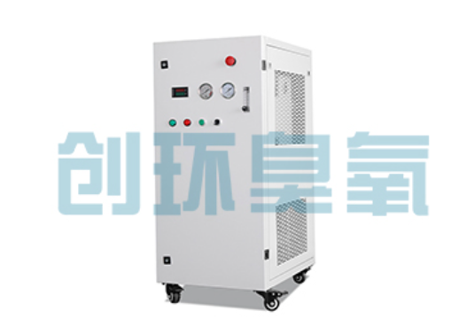 铁门关石斑鱼养殖水质调控完整指南:臭氧发生器配置与操作步骤